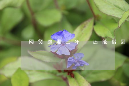 网贷逾期三年 还能借到钱吗 网贷逾期三年 还能借到钱吗